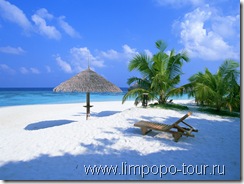 «Акуна матата», то есть «Нет проблем»!