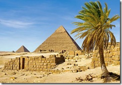 Пирамиды, пальмы, баобабы...